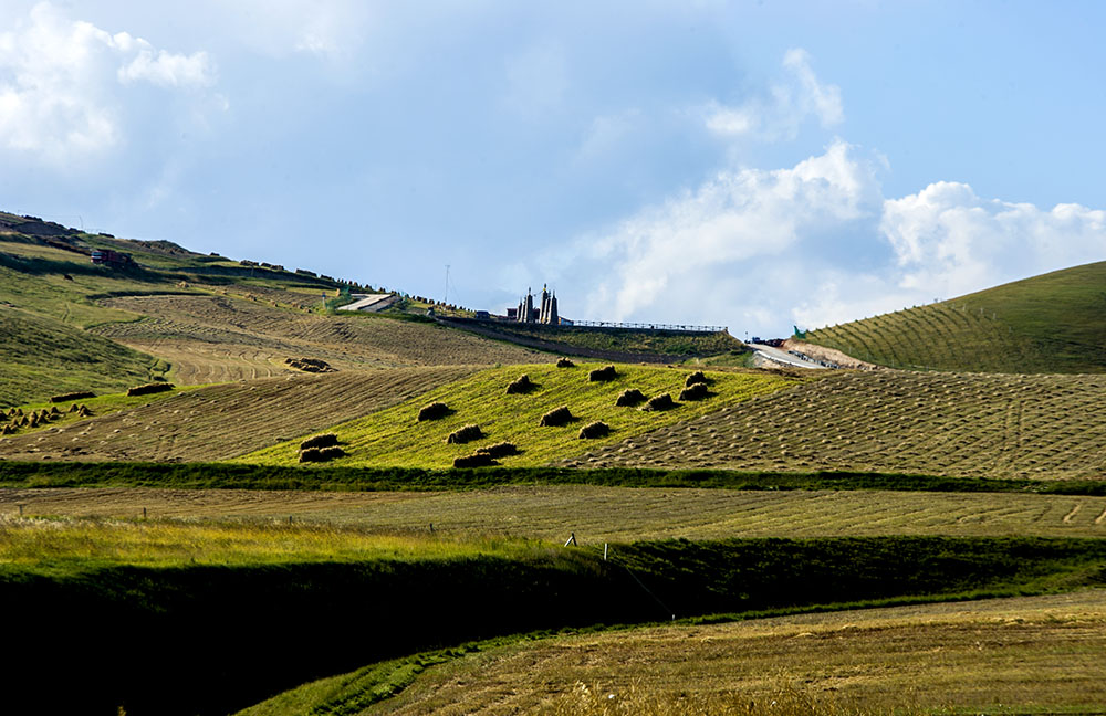 DSC_0928.jpg