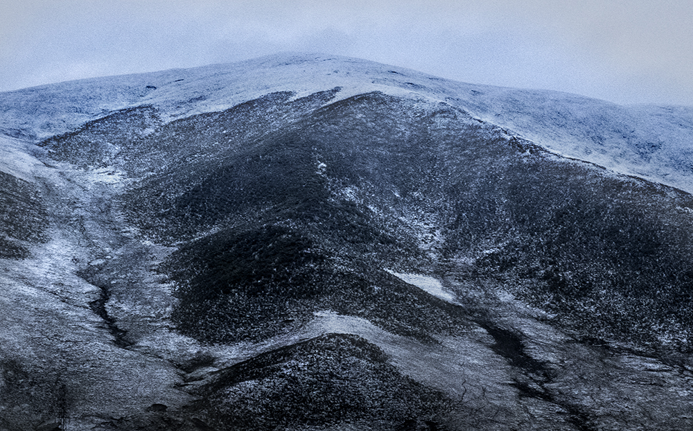 DSCF9006.jpg