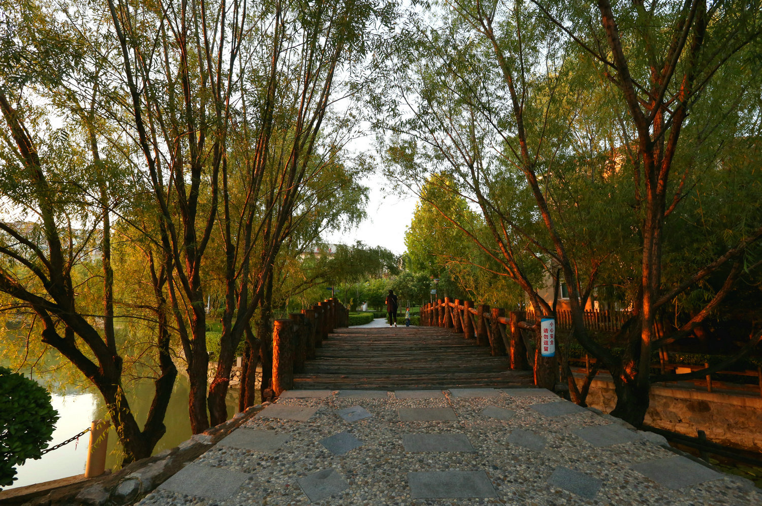 DI9A4575.jpg