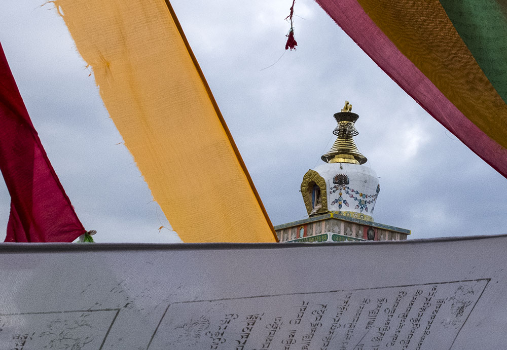 DSCF8987.jpg