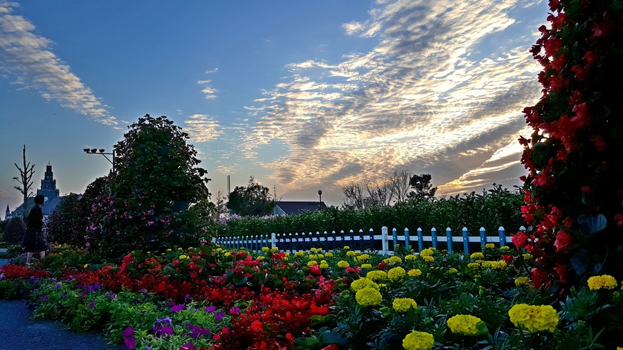 20161008_1714250.jpg