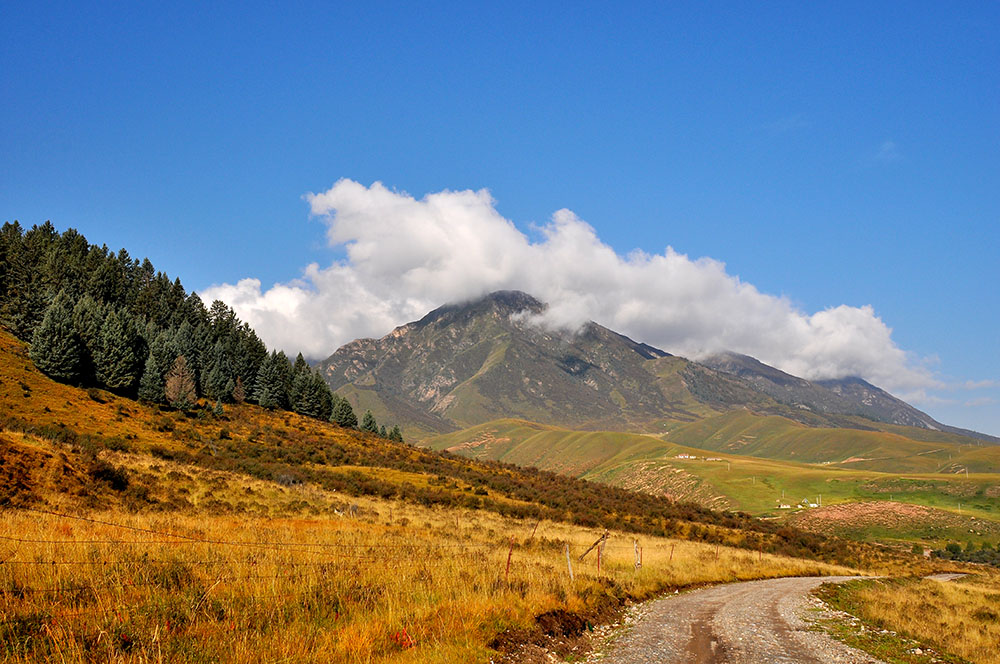 DSC_0184.JPG