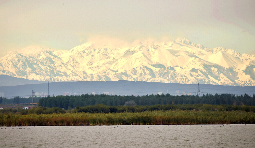 DSC_9940_.jpg