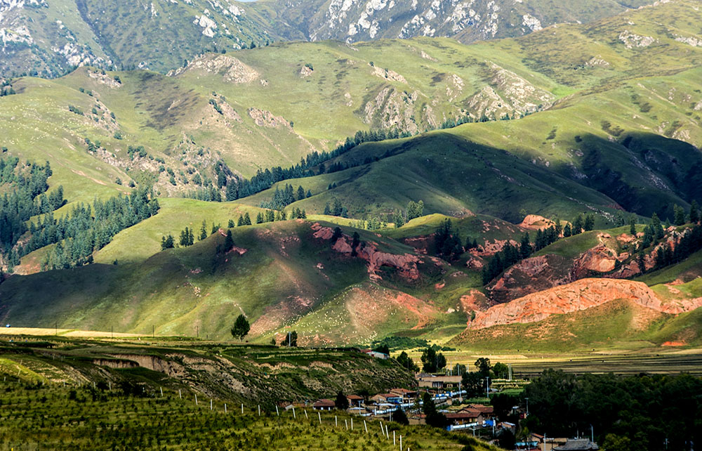 DSC_0925.jpg