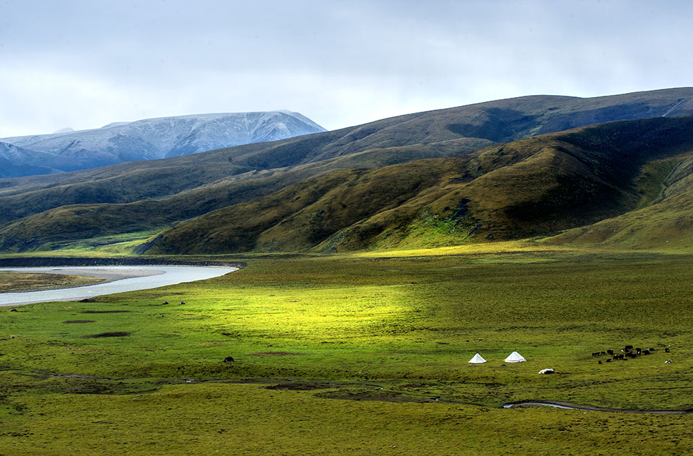 DSC_0943.jpg