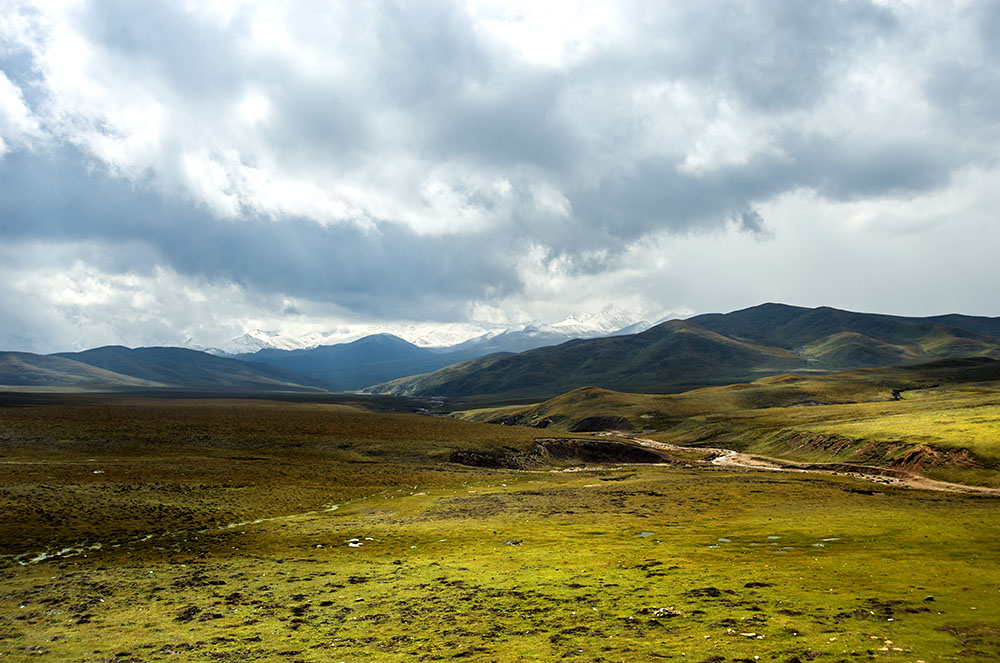 DSC_0951.jpg