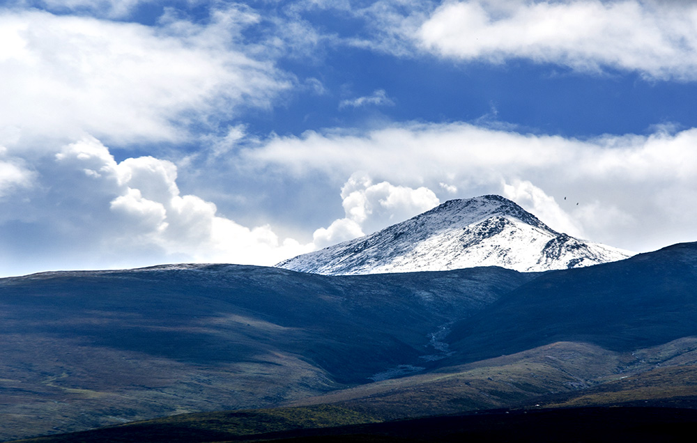 DSC_0231.jpg