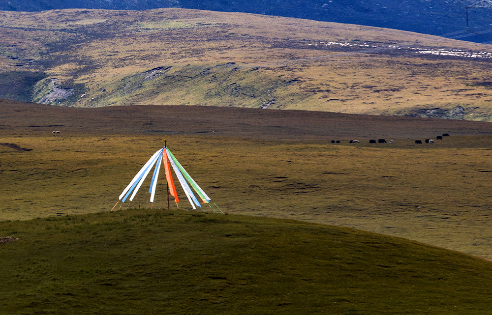 DSC_0234.jpg