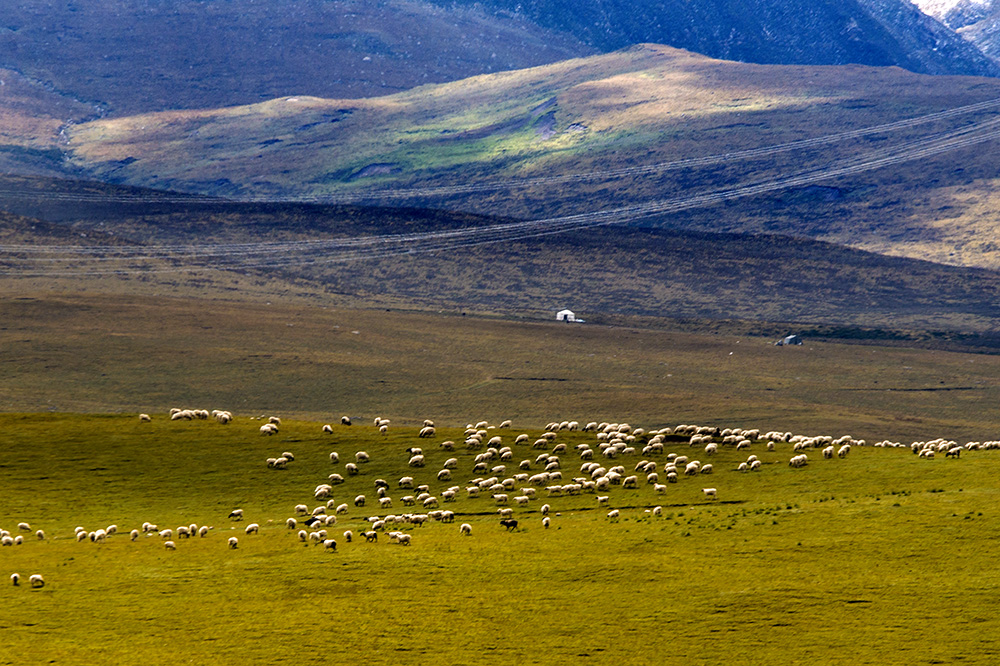 DSC_0236.jpg