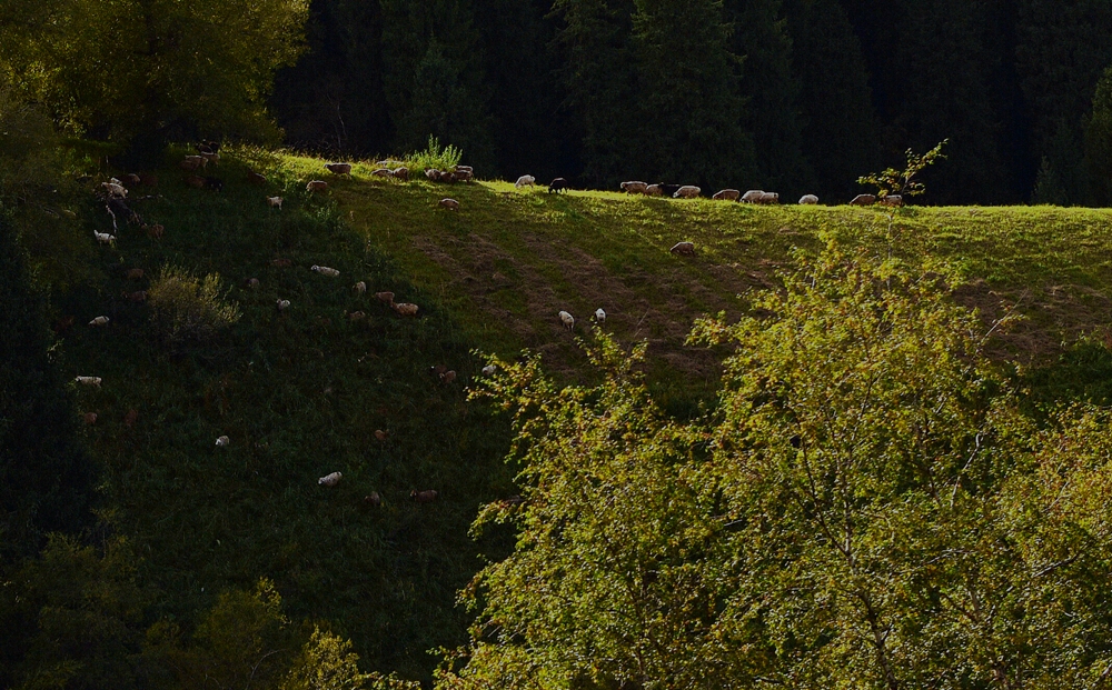 DSC_8502_.jpg