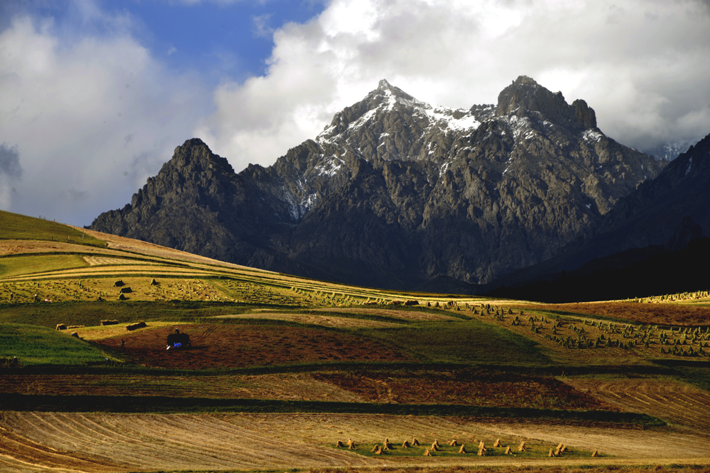 _DSC4078.jpg