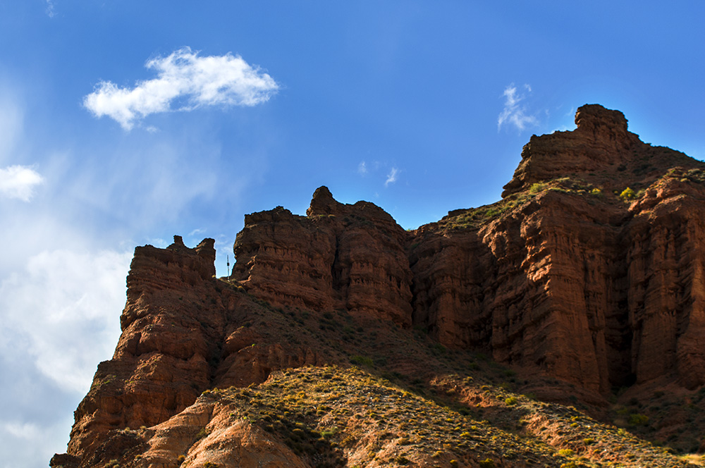 DSC_0342.jpg
