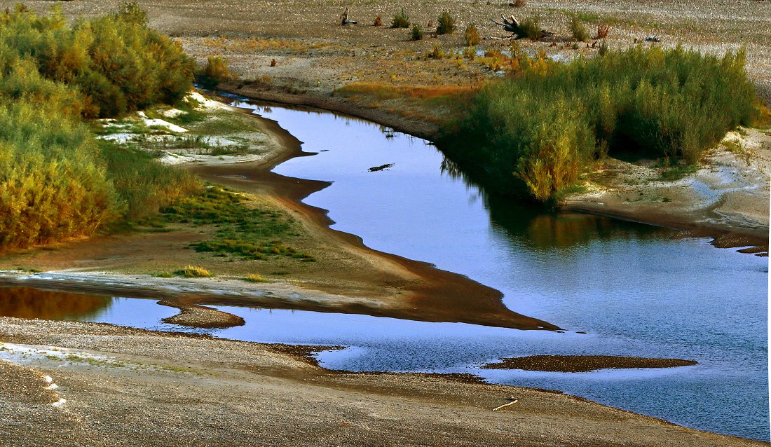 QQ0559.jpg