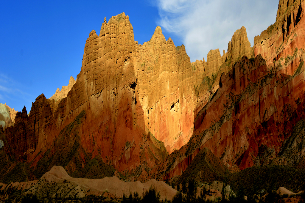 _DSC556---2.jpg