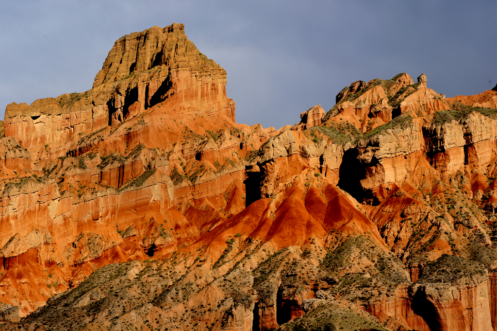 _DSC4825.jpg