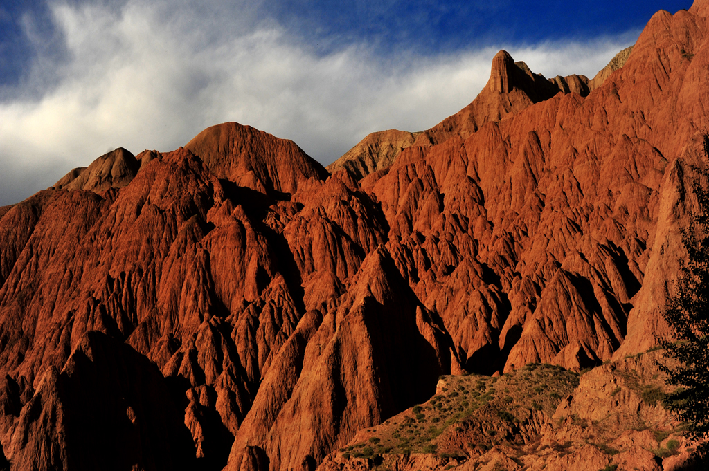_DSC5367.jpg
