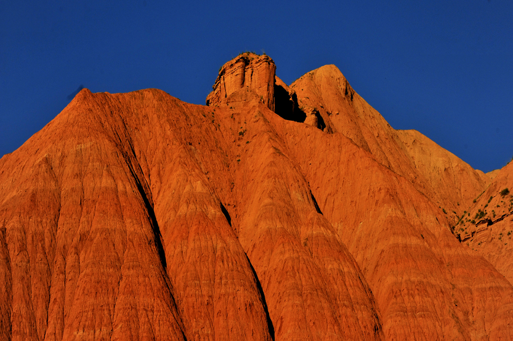 _DSC5403.jpg