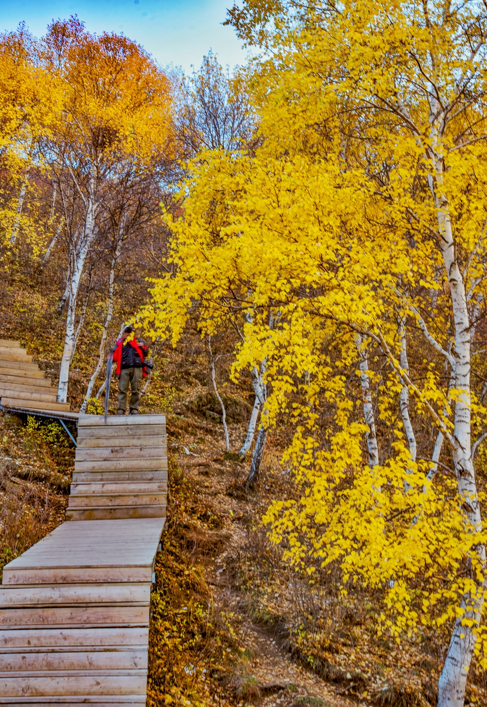_DSC0521(1)-01-g.jpg