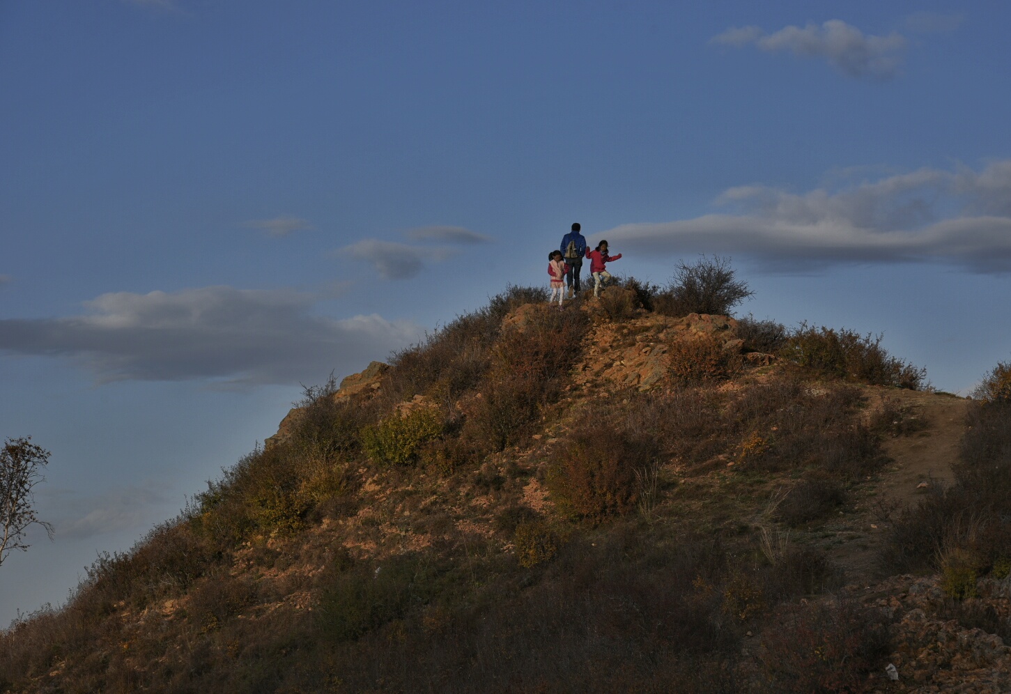 _DSC0502-01.jpeg