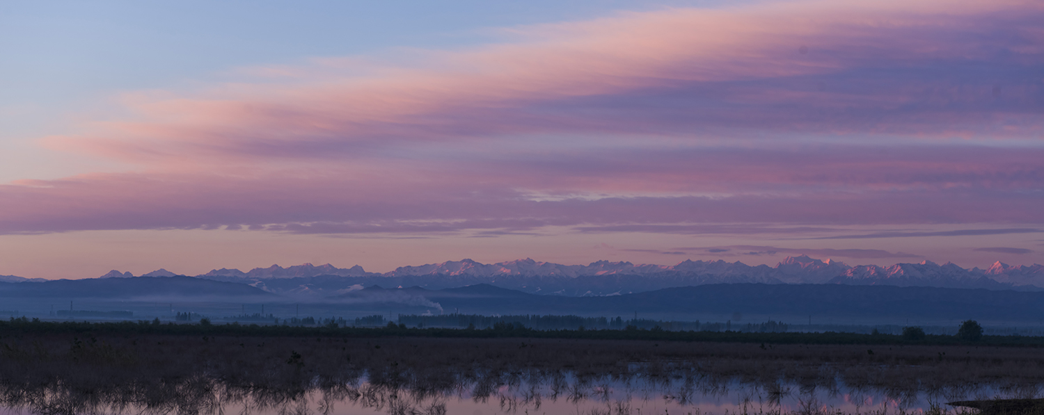 _DSC5572.JPG