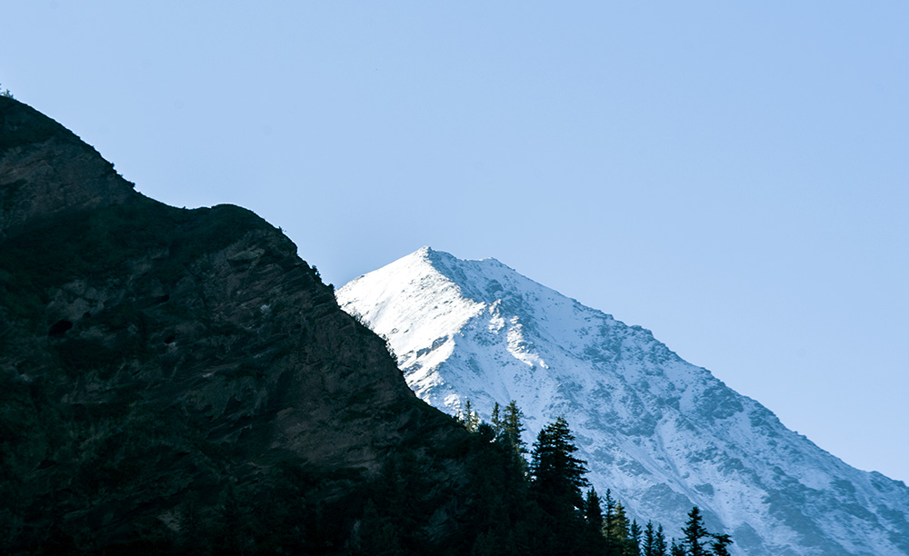 DSC_0824.jpg