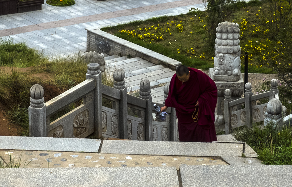 DSCF8960.jpg