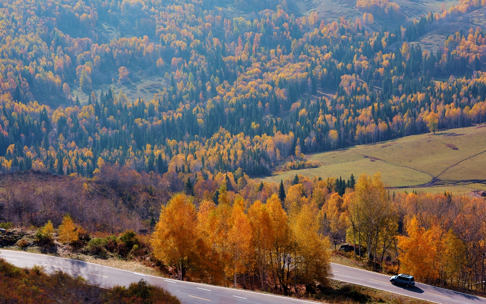 DSC_0370_.jpg