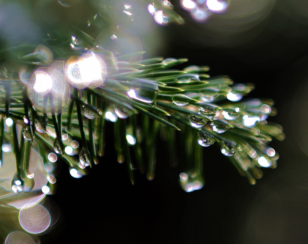 DSC_0860__.jpg