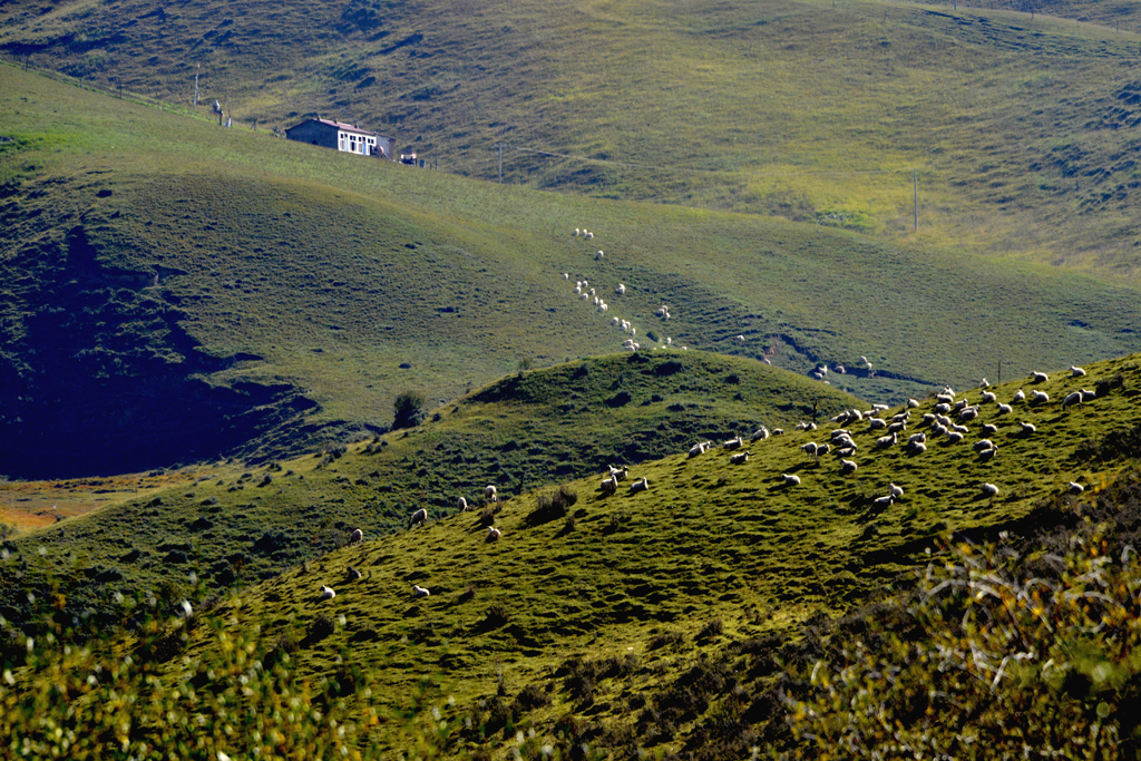 _DSC3793.jpg