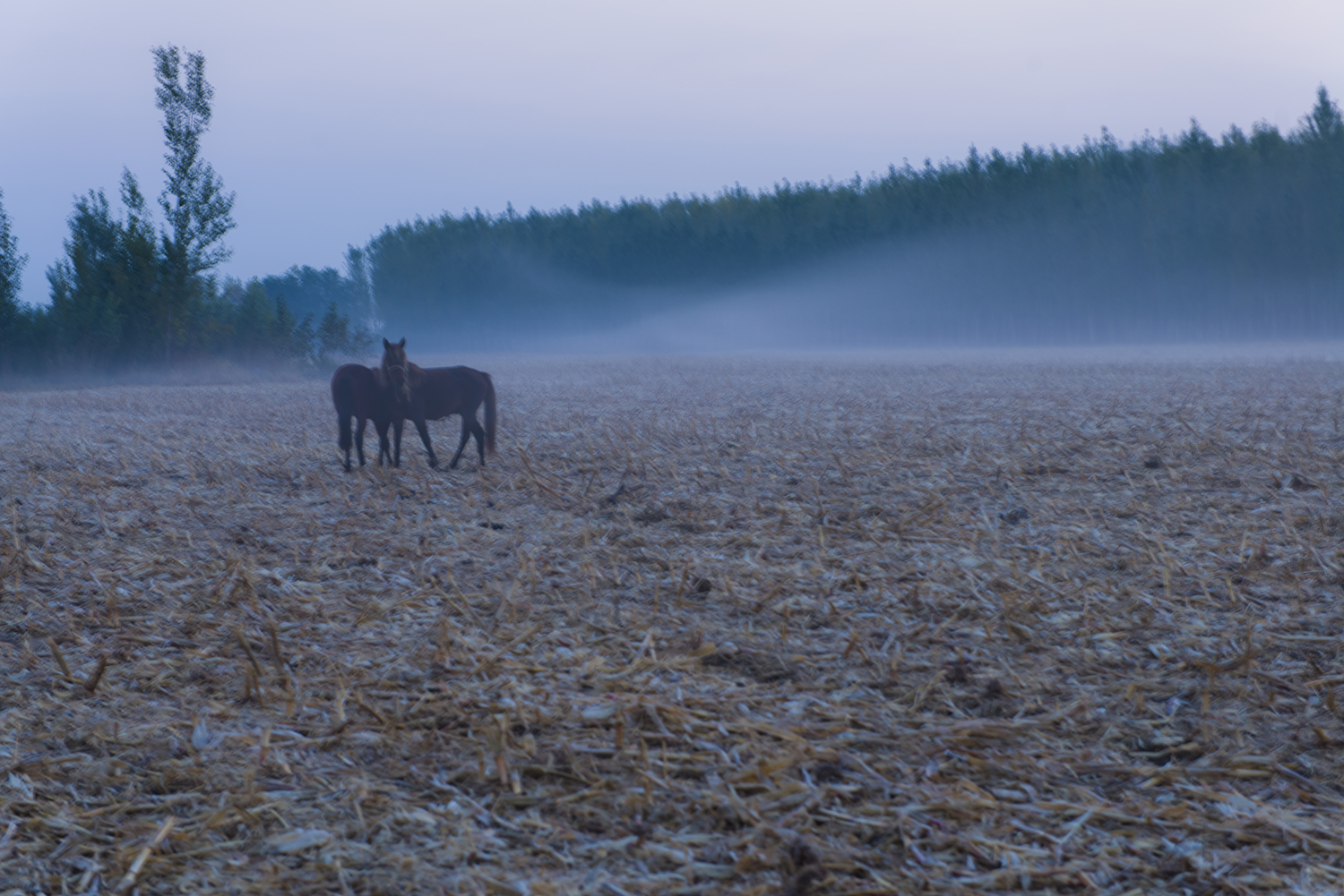 _DSC5836.JPG