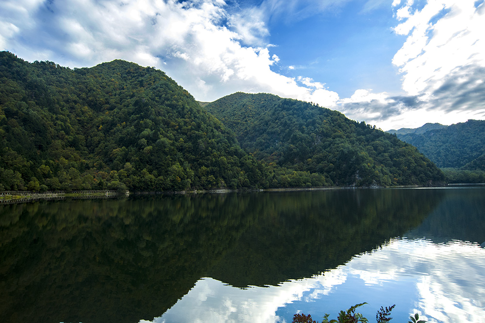 DSC_1123.jpg