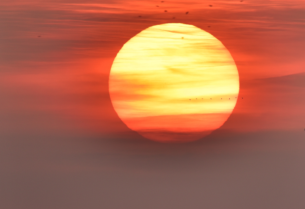 DSC_1265_.jpg
