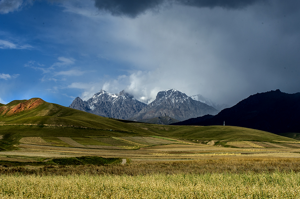 DSC_0913.jpg