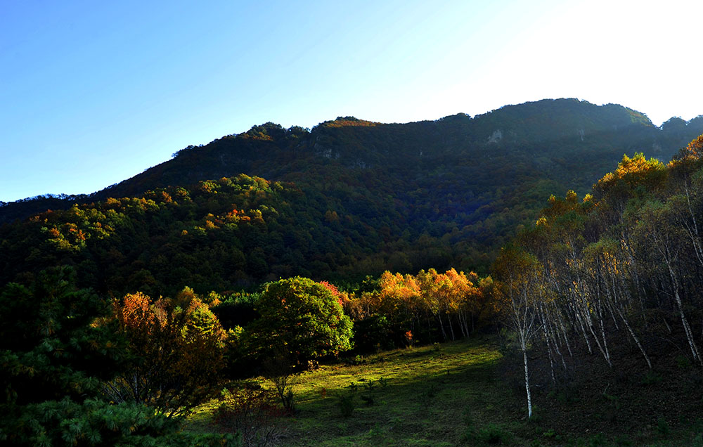 DSC_4776.JPG