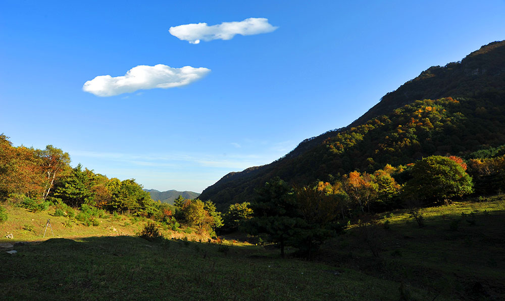 DSC_4779.JPG
