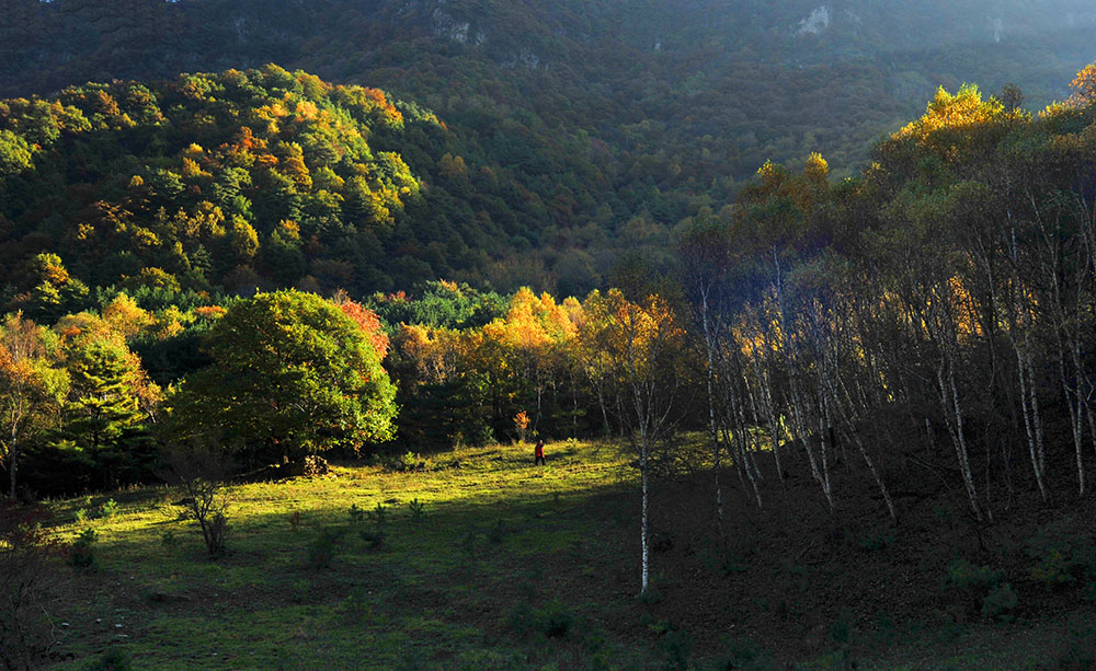 DSC_4782.JPG