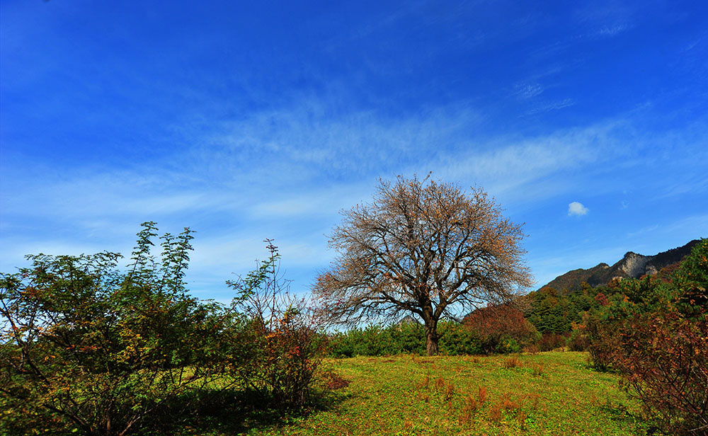 DSC_5003.JPG