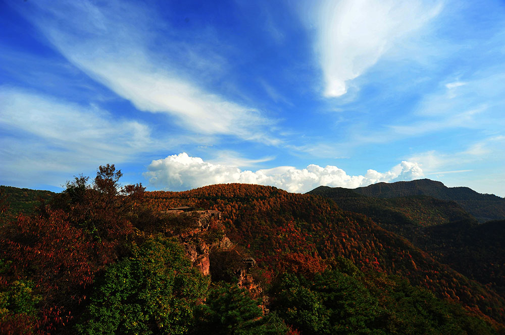 DSC_5018.JPG