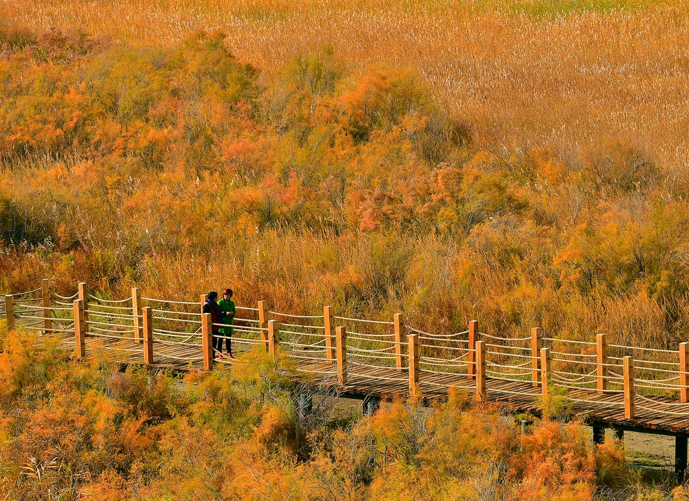 DSC_1232_.jpg