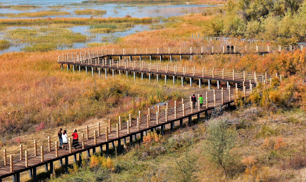DSC_1240_.jpg