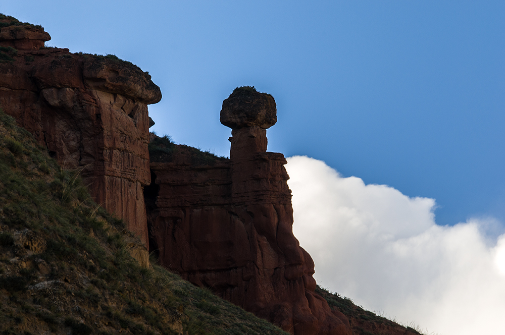 DSC_0395.jpg