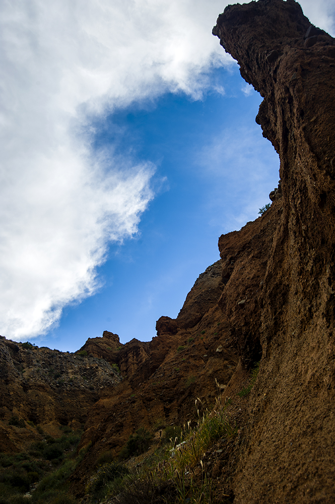 DSC_0972.jpg