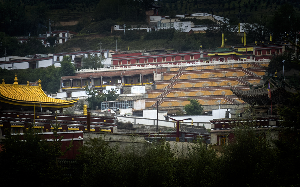 DSCF8937.jpg