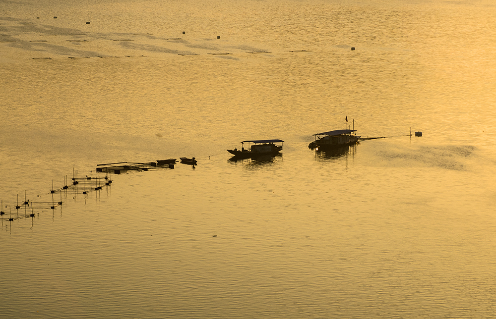 DSC_0064.jpg