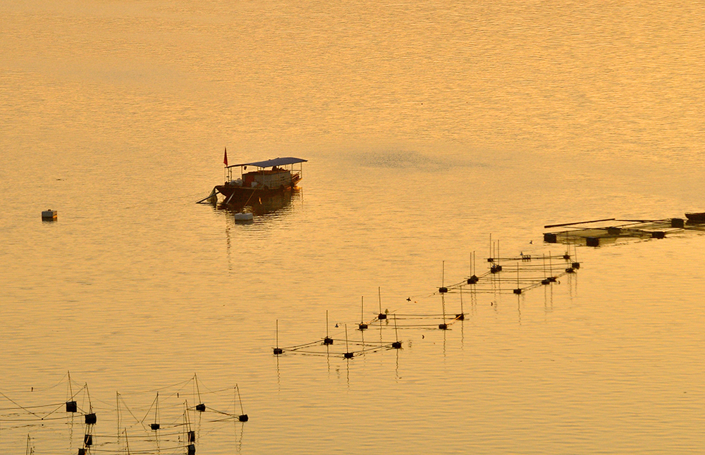 DSC_0065.JPG