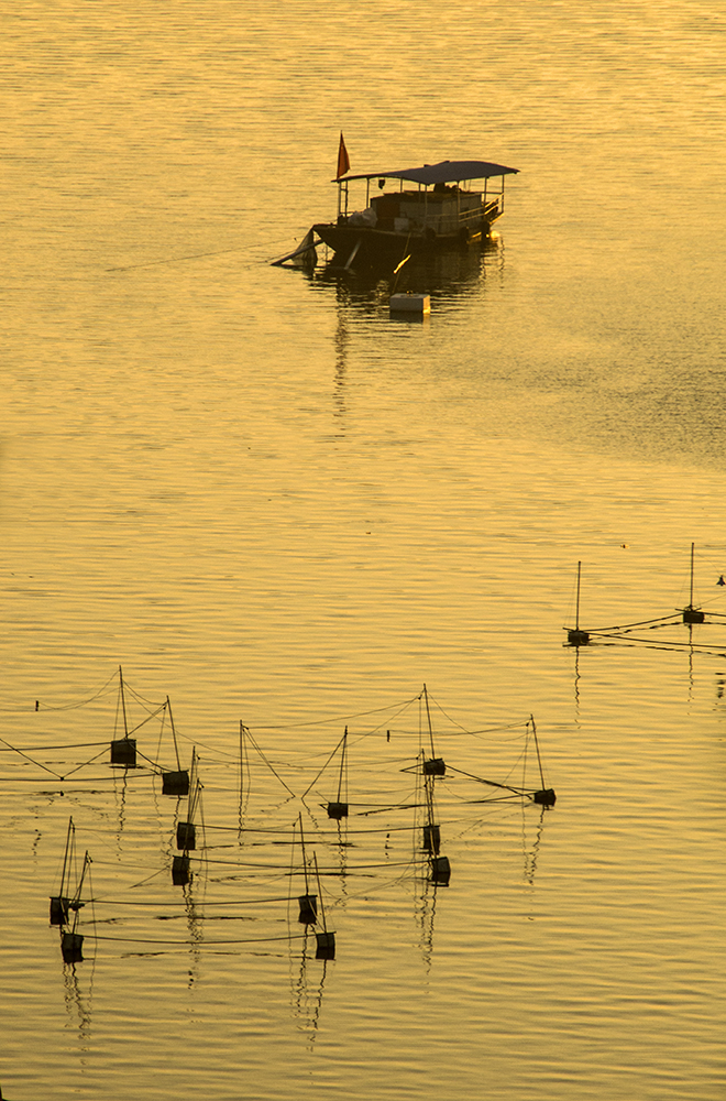 DSC_0071.jpg