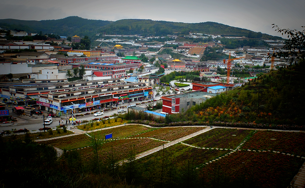 DSCF8953.JPG