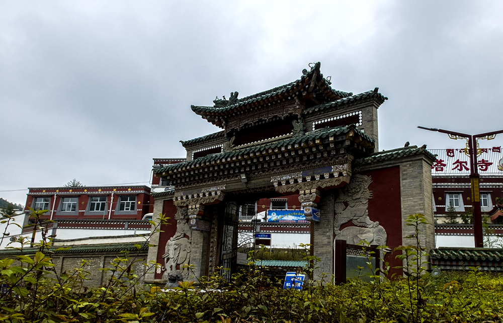 DSCF8964.jpg