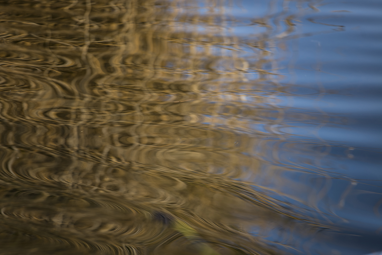 _DSC5954.JPG