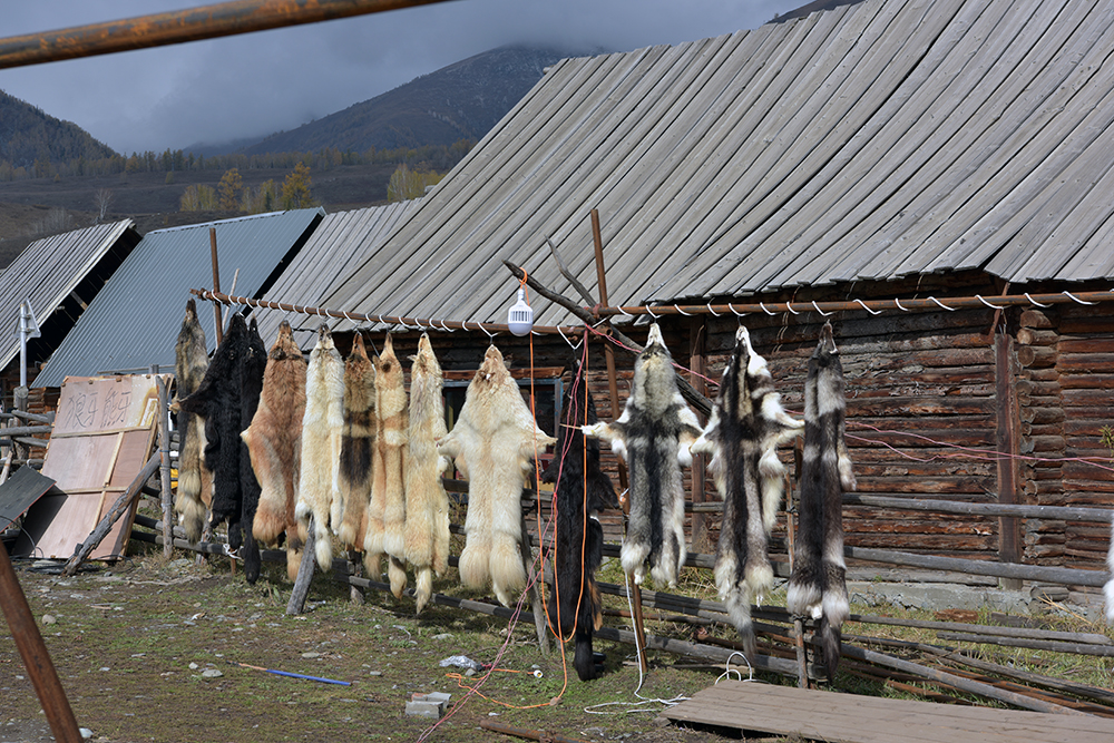 DSC_0190.jpg